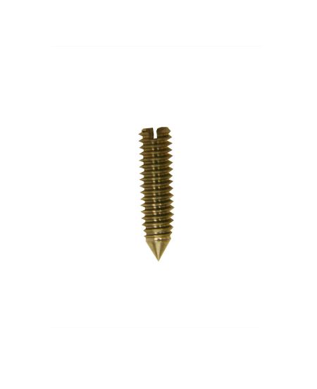 Bodycord Plug Stainless Steel Screw 